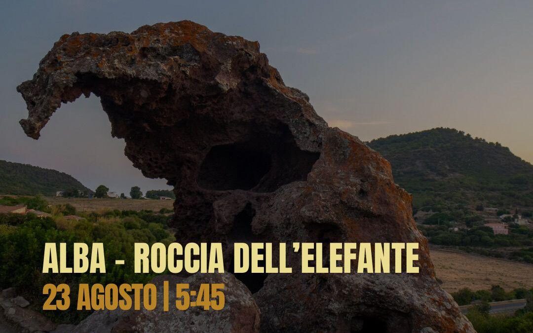 FAVATA – SULTANOV – OTTAVIANO
